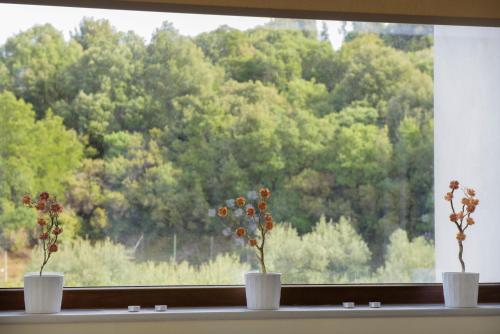 Φυσικό τοπίο κοντά σε αυτή η παραθεριστική κατοικία