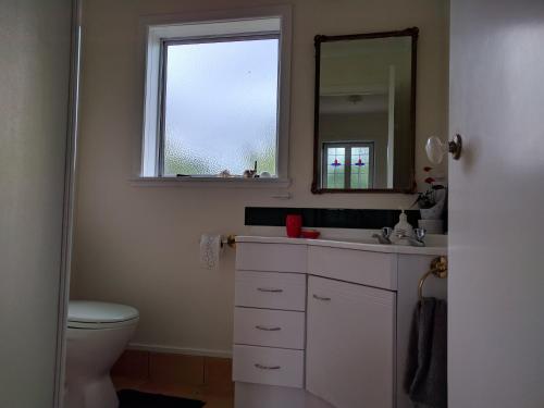 a bathroom with a sink and a toilet and a mirror at HomeWell in Tauranga