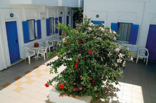 a large bush with flowers in a room with tables and chairs at Poseidon Studios in Aegiali