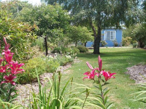 a garden with pink flowers and a blue house at Boat Harbour Garden Cottages in Boat Harbour