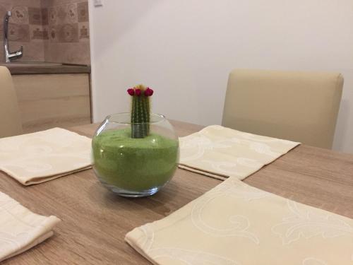 Fotografie z fotogalerie ubytování Apartment Radimiri v destinaci Kotor