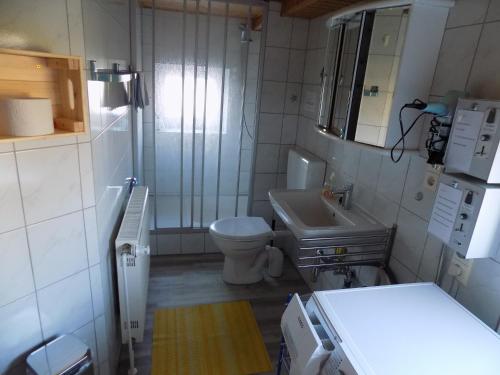 een kleine badkamer met een toilet en een wastafel bij Leuchtturm in Friederikensiel