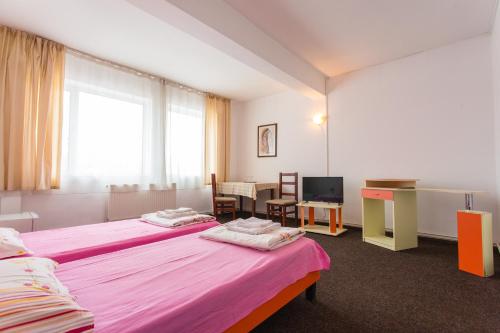 Postel nebo postele na pokoji v ubytování Hostel Horia