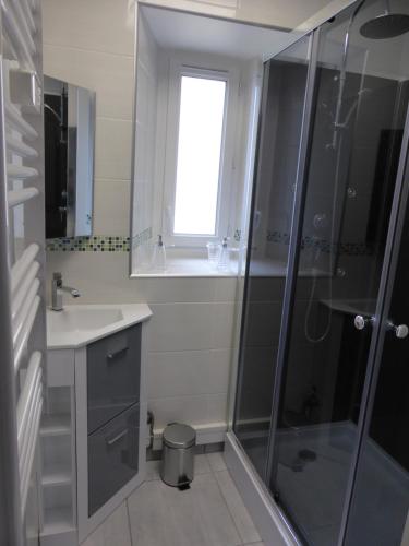 a bathroom with a shower and a sink at Appartement Bayeux in Bayeux