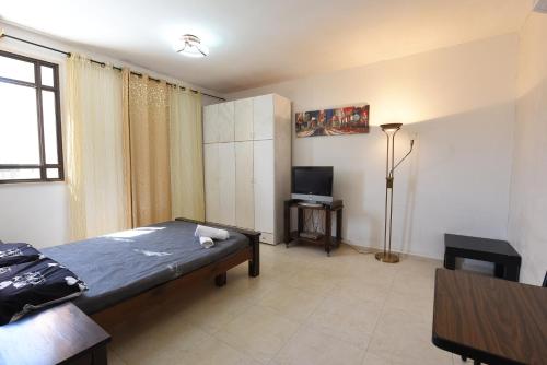 a bedroom with a bed and a tv in it at Flintstone Guest House בית ההארחה בן 11 החדרים אינו וילה פרטית אתם מזמינים רק חדרים לא את כל הוילה in Eilat