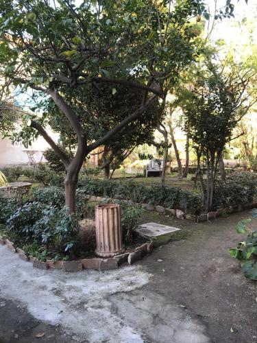 Il Giardino Di Vico Neveにある庭