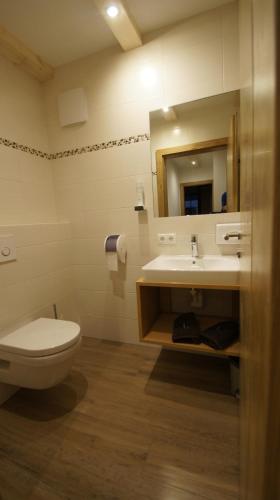 a bathroom with a toilet and a sink and a mirror at Gasthaus Goglhof in Fügenberg