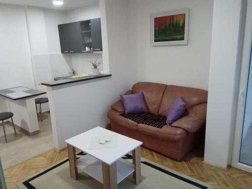 ein Wohnzimmer mit Sofa und Tisch in der Unterkunft Apartman Ana in Subotica