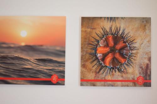 two pictures of the sun and the ocean at Palazzo Rattazzi in Monopoli