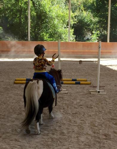 a young child riding a horse in an obstacle course at Agriturismo Randis in Piano dʼArta