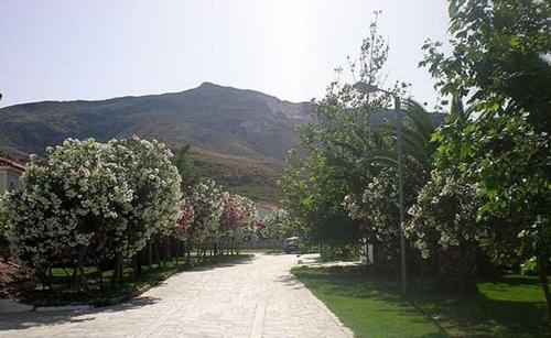 a street with trees and a mountain in the background at Klelia Beach Hotel by Zante Plaza in Kalamaki