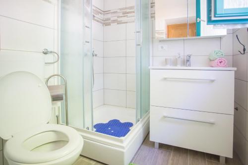 a bathroom with a toilet and a shower at Villa Medvidići in Rajki