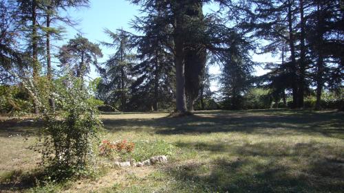 a field with trees and flowers in a park at Villa Marambat in Marambat