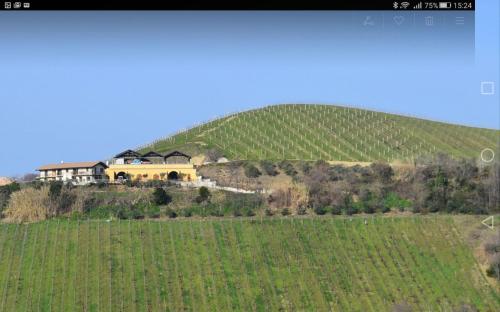 Agricola Lanciani – Photos 4