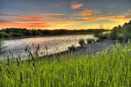 a view of a river with grass in the foreground at Casa del rio in Radal