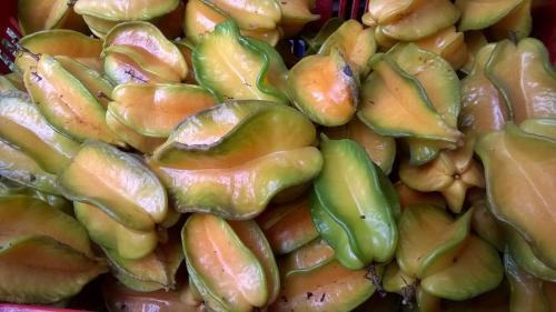 a close up of a pile of green peppers at Hotel Ecológico Tierra Blanca in Moyogalpa