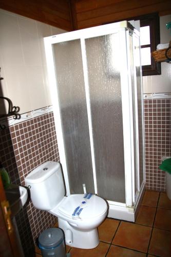 a bathroom with a toilet and a glass shower at Cabañas Valle Verde in Moya