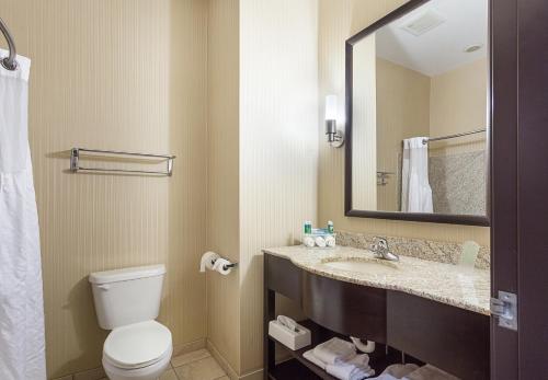 a bathroom with a toilet and a sink with a mirror at Holiday Inn Express Hotel & Suites Byram by IHG in Byram