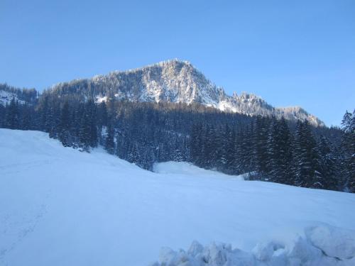 ヴァルト・イム・ピンツガウにあるOberschlassbergbauerの雪山