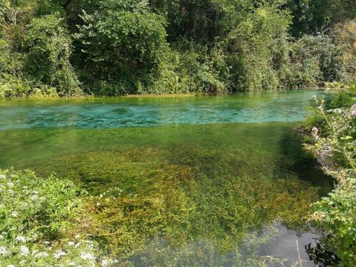 a river with green water and trees in it at Vacanze Pushime Albania in Radhimë