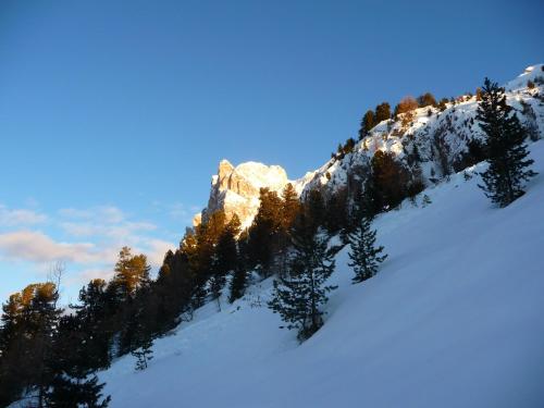 a mountain covered in snow with trees on it at Putzerhof in Funes