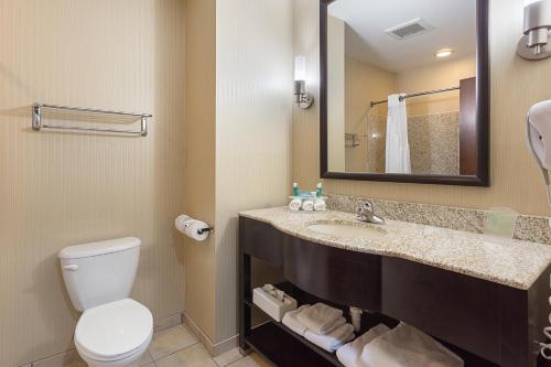 a bathroom with a sink and a toilet and a mirror at Holiday Inn Express Hotel & Suites Byram by IHG in Byram