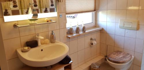 een badkamer met een wastafel en een toilet bij Ferienwohnung Gleißner in Garz