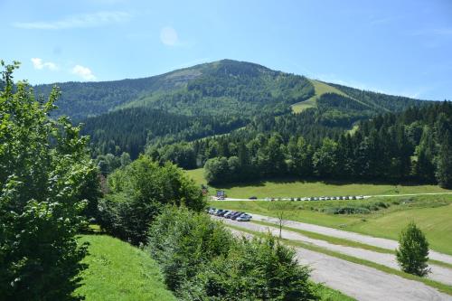 a group of cars parked on a road in front of a mountain at Ferienwohnung Weitental in Lackenhof