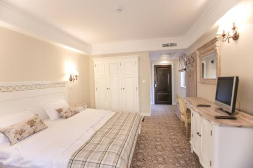 a bedroom with a bed and a desk with a television at PENSIUNEA DIMITRIOS Relaxare cu jacuzzi pe Valea Cernei in Băile Herculane