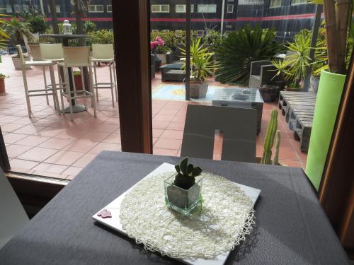a table with a potted plant sitting on top of it at B&B Mini Hotel Incity-close train station and port- in Salerno