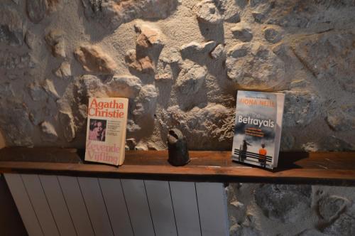 a shelf with books and a rock wall at Mas Ca La Coixa in Tortellá
