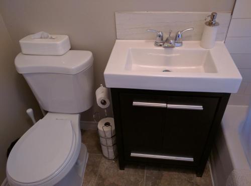 a bathroom with a white toilet and a sink at Elcho explOre Ottawa in Ottawa