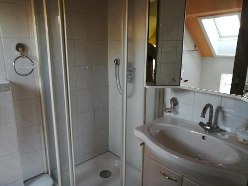 a bathroom with a shower and a sink at Ferienhof Welsch in Timmel