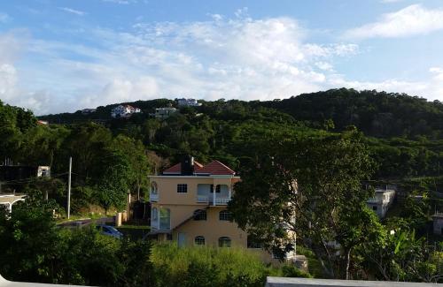 a house on the side of a hill with trees at Bailey's Bed and Breakfast in Runaway Bay