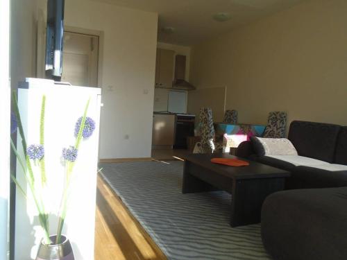 een woonkamer met een bank en een salontafel bij Fantastic brand new apartment in Podgorica