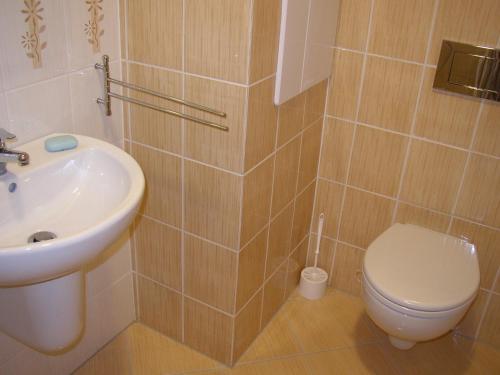 a bathroom with a toilet and a sink at Apartmány Margo Sun in Martinske Hole