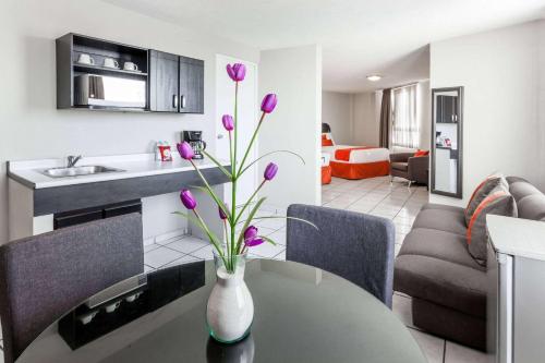 a vase with purple flowers on a table in a kitchen at Howard Johnson by Wyndham Guanajuato Leon Avenida in León