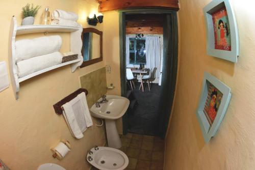 Ένα μπάνιο στο Cabañas Ser Patagonia