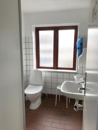 a bathroom with a toilet and a sink and a window at Oasen Samsø in Nordby