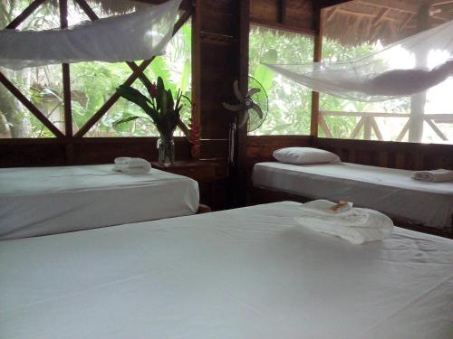 a room with two beds and two windows at Tambopata River in Puerto Maldonado