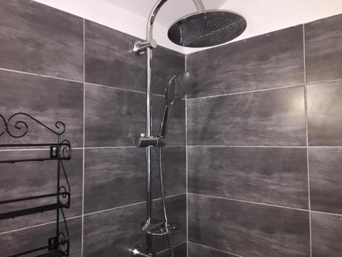 a shower with a shower head in a bathroom at Lyon Mon Amour B&B in Lyon