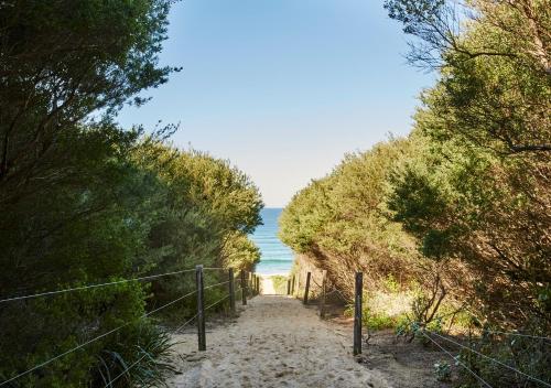 a path leading down to the ocean through trees at NRMA Toowoon Bay Holiday Park in The Entrance