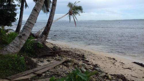 a sandy beach with palm trees and the ocean at Nyang Ebay Surf Camp Siberut in Masokut