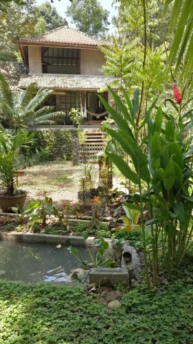 a house in the middle of a garden with a pond at Mi Casa - The gem of Ijen in Banyuwangi