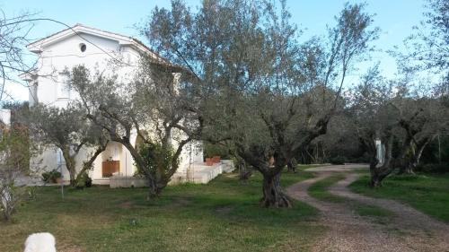 Κήπος έξω από το Villa Feia