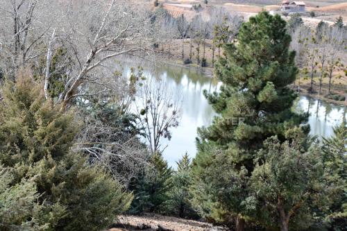 a view of a pond in a forest with trees at Ferme D"Hote Lala Fatima in Aïn Leuh