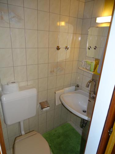 a small bathroom with a toilet and a sink at Pension Bayrhammer in Faistenau
