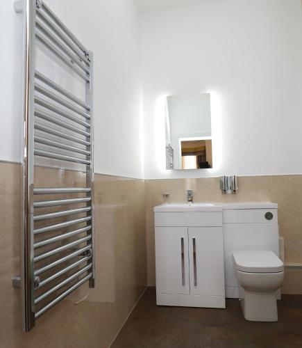 a bathroom with a white toilet and a mirror at The Famous Star Hotel Moffat in Moffat
