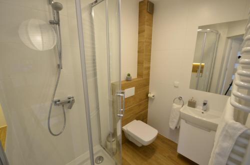 La salle de bains est pourvue d'une douche, de toilettes et d'un lavabo. dans l'établissement Apartamenty Skalite Szczyrk ul Woźna 14, à Szczyrk