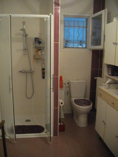 ein Bad mit einer Dusche und einem WC in der Unterkunft La Nouste Maisoun in Barcelonne-du-Gers